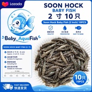 [10pcs] 2inch Soon Hock Baby live fish aquarium
