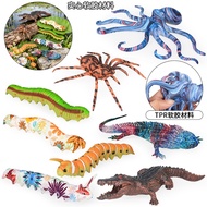 Soft rubber simulation iguana spider crocodile octopus model children science educational toys cogni