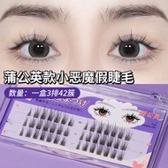 BQI False Eyelashes Dandelion False Eyelashes Single Cluster Batch Natural Simulation Eyelashes Fact