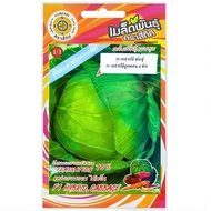 4-Direction Hybrid Cabbage
