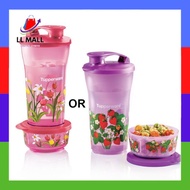 NEW Tupperware Quench & Snack Set Water Bottle Kids Bottle Container 800ml / Snack Dessert Bowl 200m