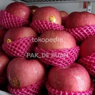 APEL FUJI RENYAH MANIS / PREMIUM / FRESH & SEGAR ( 1 kg )