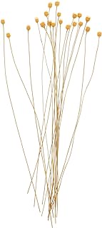 SEWACC 20pcs Reed Diffuser Sticks Wood Flower Diffuser Replacement Refill Rattan Reed Fragrance Diffuser Essential Oil Aroma Diffuser Sticks for Home Office Decor