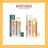 (Bundle of 2) Burt's Bee Advanced Relief Lip Balm Cooling Blister/Unscented Blister 48/0.15oz Uni