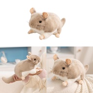 Chinchilla Friendly Kids Stuffed Doll With Short Plush Playtime Material For