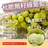 【靖成商行】祕魯秋脆綠葡萄🍇 | 一公斤裝