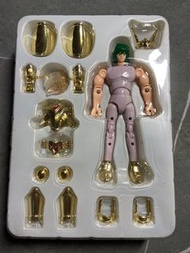 聖鬥士星矢 聖衣大系 新生青銅聖衣 黃金 白鳥 冰河 仙女 瞬 非 EX 神話