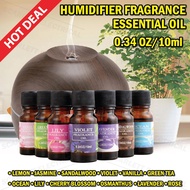 Humidifier Fragrance Essential Oil Aromatheraphy 10ml Air Freshening/Minyak Wangi Aroma Terapi