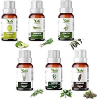 Kalp® Pack of 6 essential oils -15 ML EACH (Bergamot Oil, Lemongrass Oil, Eucalyptus Oil, Rosemary Oil, Camphor Oil &amp; Cedarwood Oil) (BLERCC-15ML)