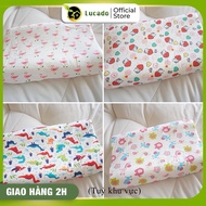 Van Thanh High-end latex pillow for baby 30cmx 50cm
