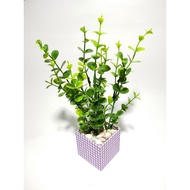 Mini Flower Decoration/Eucalyptus Leaves