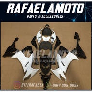 Kawasaki ZX-10R Full Coverset Year 2008-2010 Fairing 11