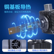 New D LED Car Headlights D1 SD2 SD3 SD4 Xenon Light Bulb HID