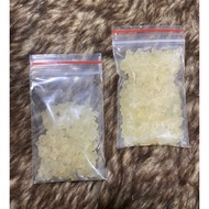 Men Nước Water Kefir nấm nước dừa kefir dừa