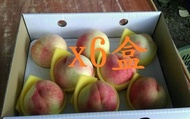 【限量預購！鮮甜多汁 高山水蜜桃 8入裝x6盒】入口即化的陽光部落水蜜桃！