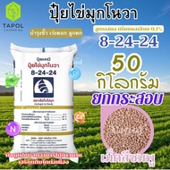 ปุ๋ยตราเรือใบไข่มุก ไข่มุกโนวา 8-24-24  ยกกระสอบ 50 กิโลกรัม ช่วยให้ขั้วเหนียว เร่งดอก ผลใหญ่ ลูกดก
