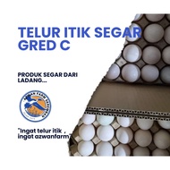 Azwanfarm 10 Duck Eggs