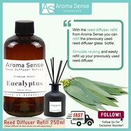 Aroma Sense Eucalyptus Scent Reed Diffuser Refill (250ml) Fresh &amp; Long Lasting Fragrance, Aromatherapy Essential Oil