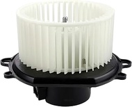 HVAC Blower Motor Assembly 700017 1F1Z19805AA E8DZ19834A 256250 2613373 PM919 Heater Blower Motor wi