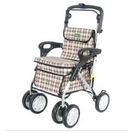 Caremax Walker Silver Fly CW-SP300