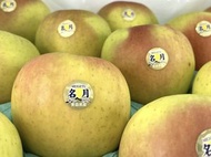 全城熱賣 - 日本青森名月蘋果 原箱 (32-36庄)