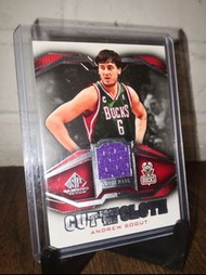 (包郵) Andrew Bogut NBA Bucks 公鹿 球衣卡 05年狀元