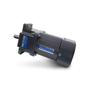 6w 10w 15w 25w 40w 90w 120w 200w 250W Series AC Induction Gear Motor Induction Motor AC Induction Ge