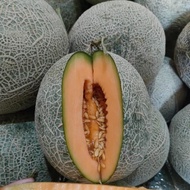 Melon Sakata