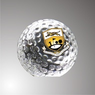 Crystal Award Plaque/Appreciation Plaque/Sales Achievement Plaque/Employee Award Plaque/Service Awar