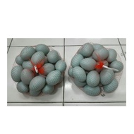 Blue Egg Toy | Duck egg salted egg