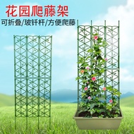 [48H Shipping] Garden Patio Flower Stand Climbing Vine Frame Flower Screen Flower Screen Flower Fram