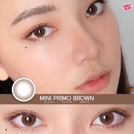 🔥Mini Primo Brown,Gray🔥สายตาปกติ,-1.50,-3.00,-4.25(Kitty kawaii คิตตี้คาวาอิ)