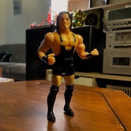 Wrestler WWE Action Figure Toys (2)