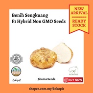 💥READY STOCK💥 BIJI BENIH UBI SENGKUANG / JICAMA SEED