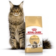 Royal Canin Maine Coon Adult 2Kg / Rc Maine Coon Adult 2Kg