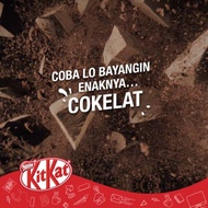 NESTLE KITKAT Coklat Wafer 2F 17g x 48pcs