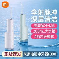 Xiaomi Mijia Electric Flosser F300 Flosser Water Floss Portable Household Oral Flosser Gift