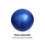 Sensory Gym Ball Anti-Burst Yoga Ball 75cm 100cm