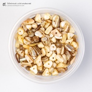 Real Stone Beads Cream White Ivory Coast