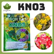 KNO3 Micronutrient Fertilizer (100gr Package) - Stimulates Flowers, Fruit Set, Grows Fruit, Increase