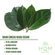 1 kg Daun cincau Hijau Segar  bukan cincau rambat bulu - 500 GRAM