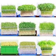 Package of 500 grams (5 ounces) of sprout seeds (6 types) please click to the link to choose