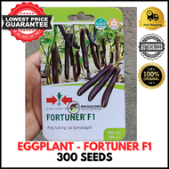 EAST-WEST SEEDS - EGGPLANT SEEDS - FORTUNER F1 HYBRID 300 Seeds