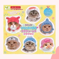 [全6款 日版 ] 貓 帽 頭套 水族館 海洋生物 企鵝 鯊魚 鯨魚 蟹 扭蛋