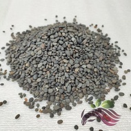 Black Pearl Stone 4mm-11mm Plant Plant Decoration Stone Rock Aquarium Decoration Stone 1KG by LS Gro