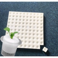 HYDROPONICS SEEDLING SOWING SPONGE SOILLESS HYDROPONICS SEEDLING VEGETABLE NURSERY SPONGE