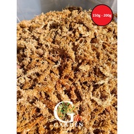 Sphagnum Moss Chilean 5A-7A Long Fibre (1.5+ Litre) Lumut Sphagnum yang Berkualiti Tinggi 5-7星智利水苔