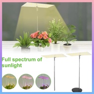 Grow Light Height Adjustable Plant Grow Lamp Dimmable Brightness Full Spectrum Grow Light Bright LED