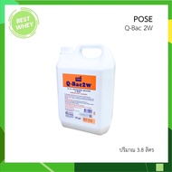 Q-Bac 2A / Q-Bac 2W  3800 ml แกลลอนเติม 2% Chlorhexidine Gluconate น้ำยาฆ่าเชื้อ เช็ดผิวก่อนทำหัตถกา