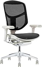 ergohuman2 EJ2-LAM-GF-BK Office Chair Frame: Gray, Mesh: Black, Enjoy, Low Type,